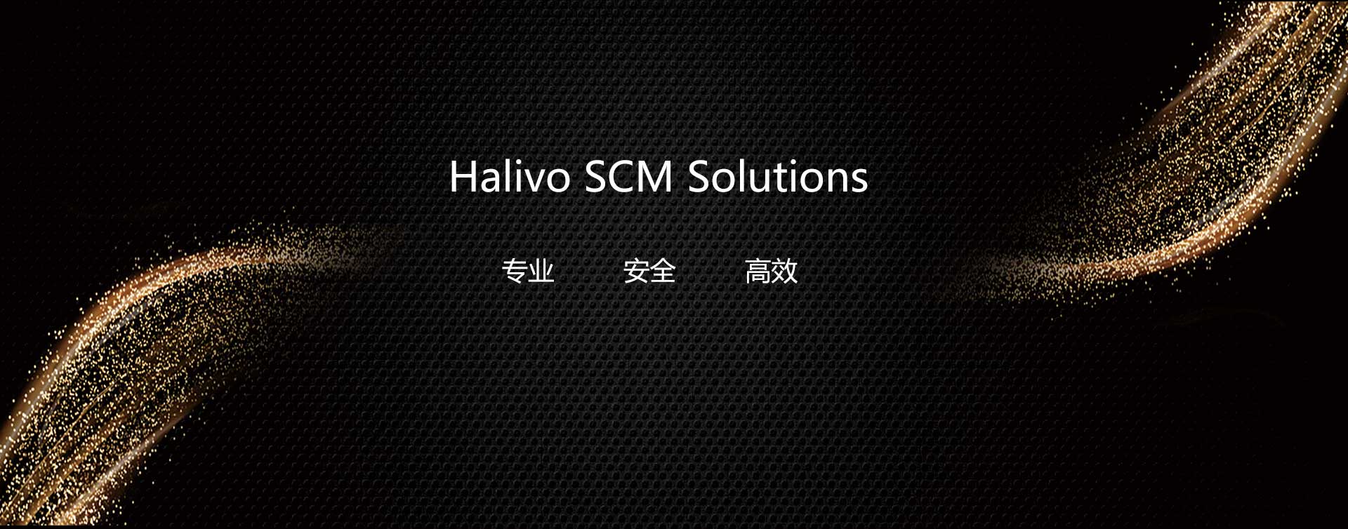 朗捷 Halivo banner 